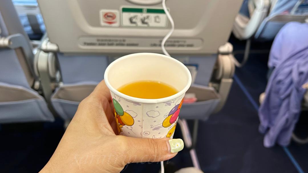 華航A321neo經濟艙開箱|台北直飛清邁,機上餐點 - 第11張圖 華航A321neo經濟艙開箱|台北直飛清邁,機上餐點