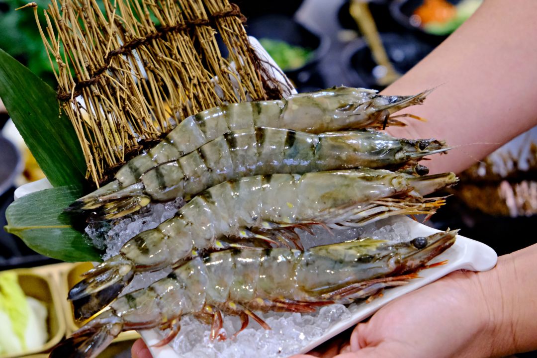 【雲林火鍋推薦】鵝与鍋虎尾總店｜全台第一鵝肉火鍋！20隻鵝熬8小時的鵝白湯